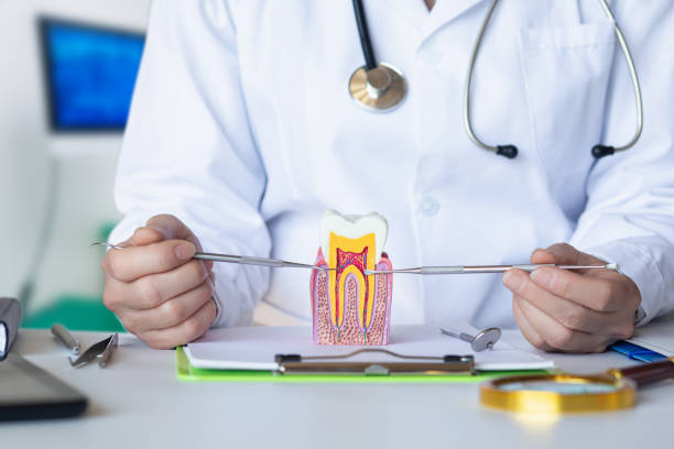 Best Same-Day Emergency Dentist in Petersburg, IN